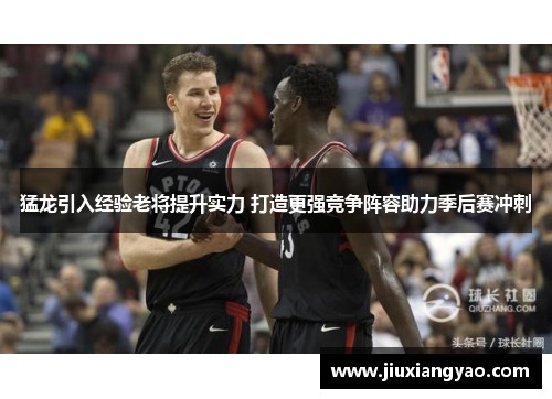 猛龙引入经验老将提升实力 打造更强竞争阵容助力季后赛冲刺