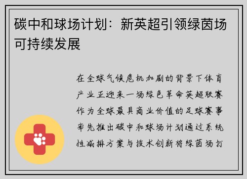 碳中和球场计划：新英超引领绿茵场可持续发展